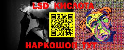 прущие грибы Кандалакша
