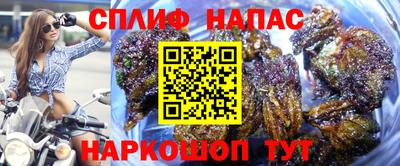 прущие грибы Кандалакша
