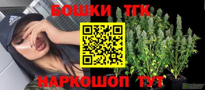 бошки Камышлов