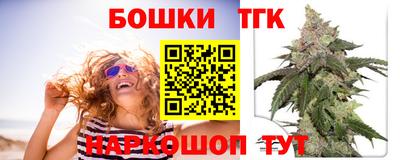 прущие грибы Кандалакша