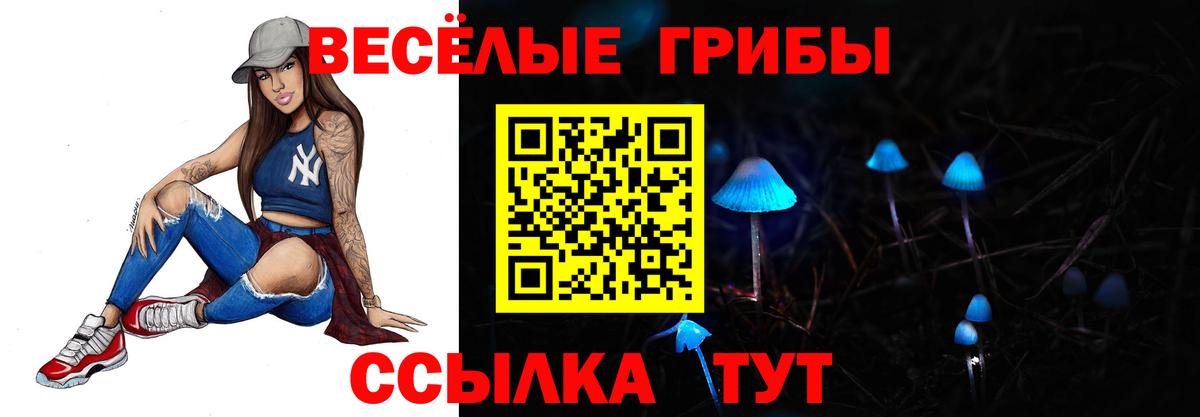 Псилоцибиновые грибы Psilocybine cubensis  Вход с VPN  Псилоцибиновые грибы Magic Shrooms  Кстово 